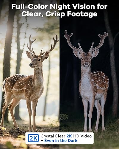 Miniatura 7 de Cámara de vigilancia 4G LTE sin WiFi para exteriores, funciona con energía solar, HD 2K, detección de movimiento, PTZ de 360, visión nocturna,