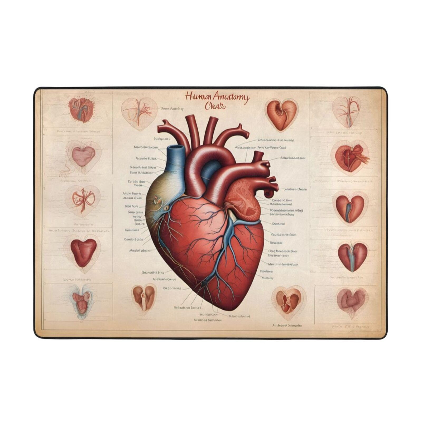 Tapis de sol anatomie humaine pour réchauffer un sol froid