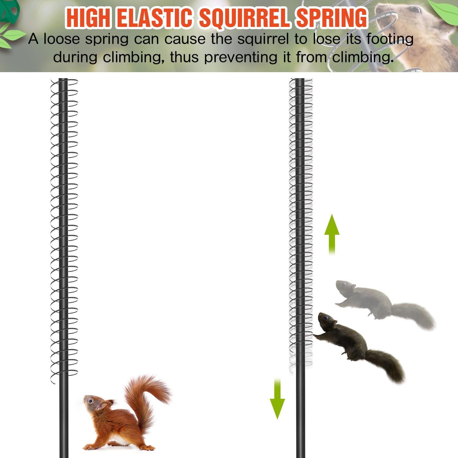 Suqiral Spring Snapklik.com : Qualirey 6 Pcs Metal Squirrel Baffle Squirrel Proof ...