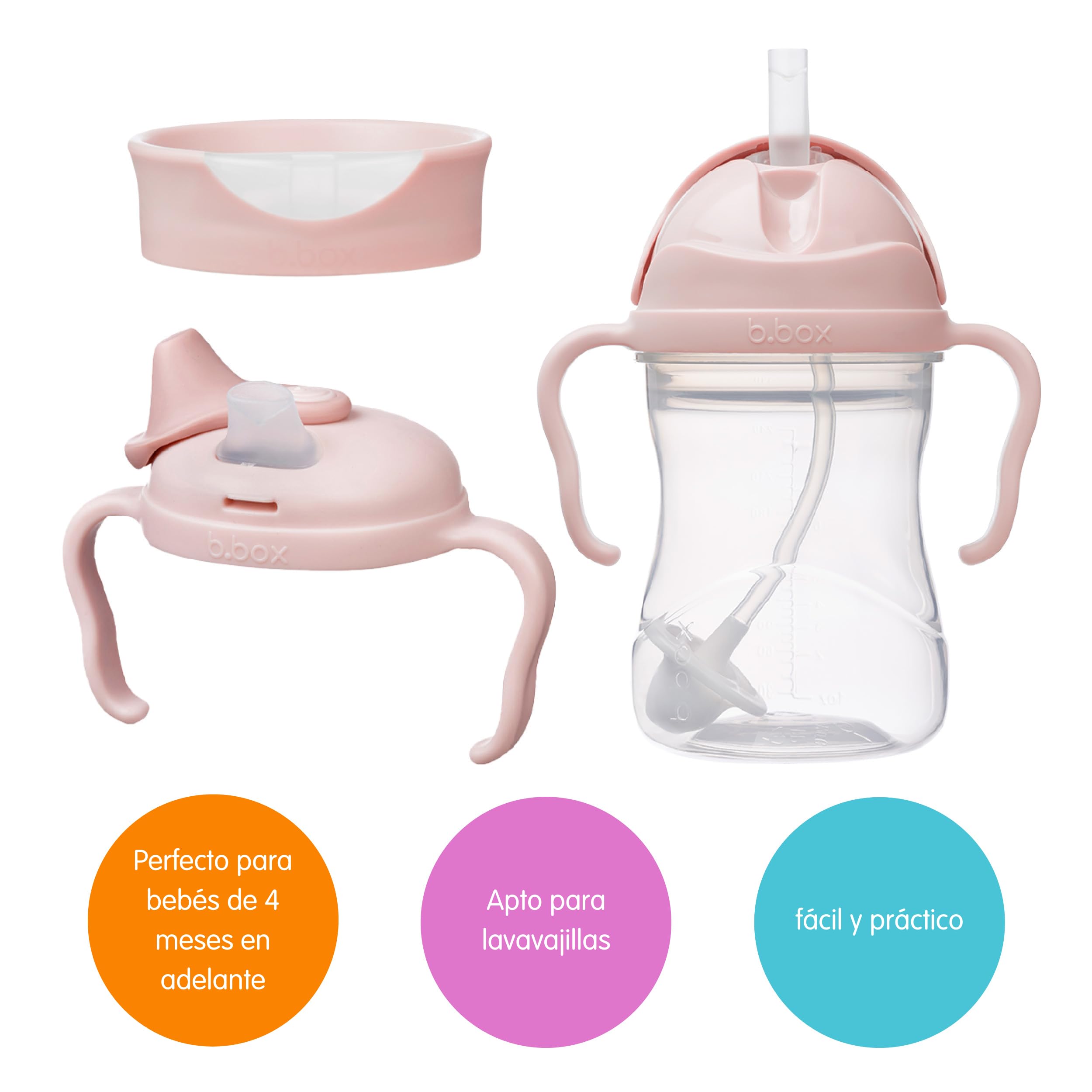 b.box Set ahorro 3 en 1 para niños pequeños | Una taza, tres tapas para apoyar el proceso de hidratación de bebés y niños pequeños. Sin BPA, apto para lavavajillas | Desde 4 meses | 240 ml