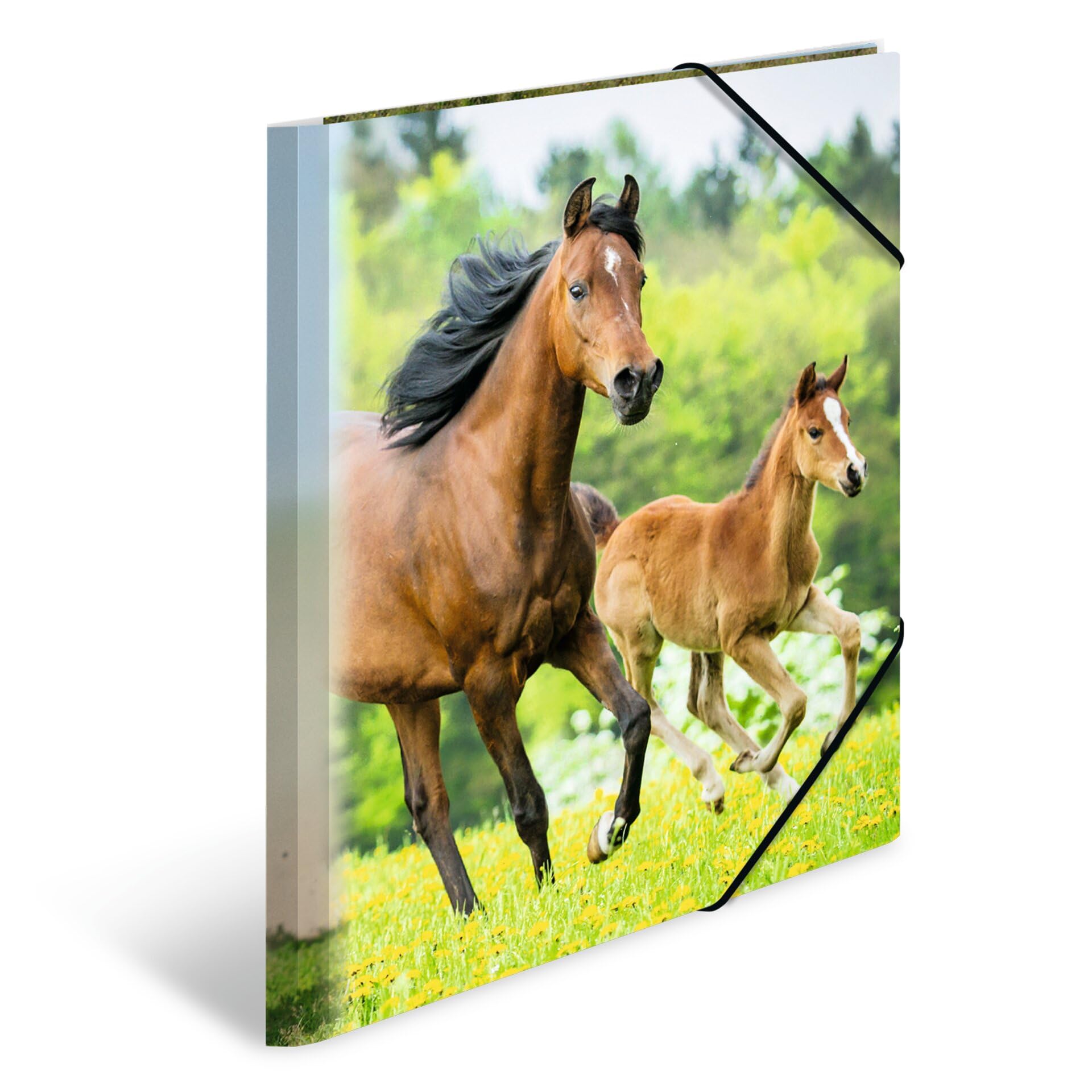 HERMA Portfolio Folders A4 Horse Set of 3 Children's Plastic Corner Folder with Animal Motif, Elastic Band
