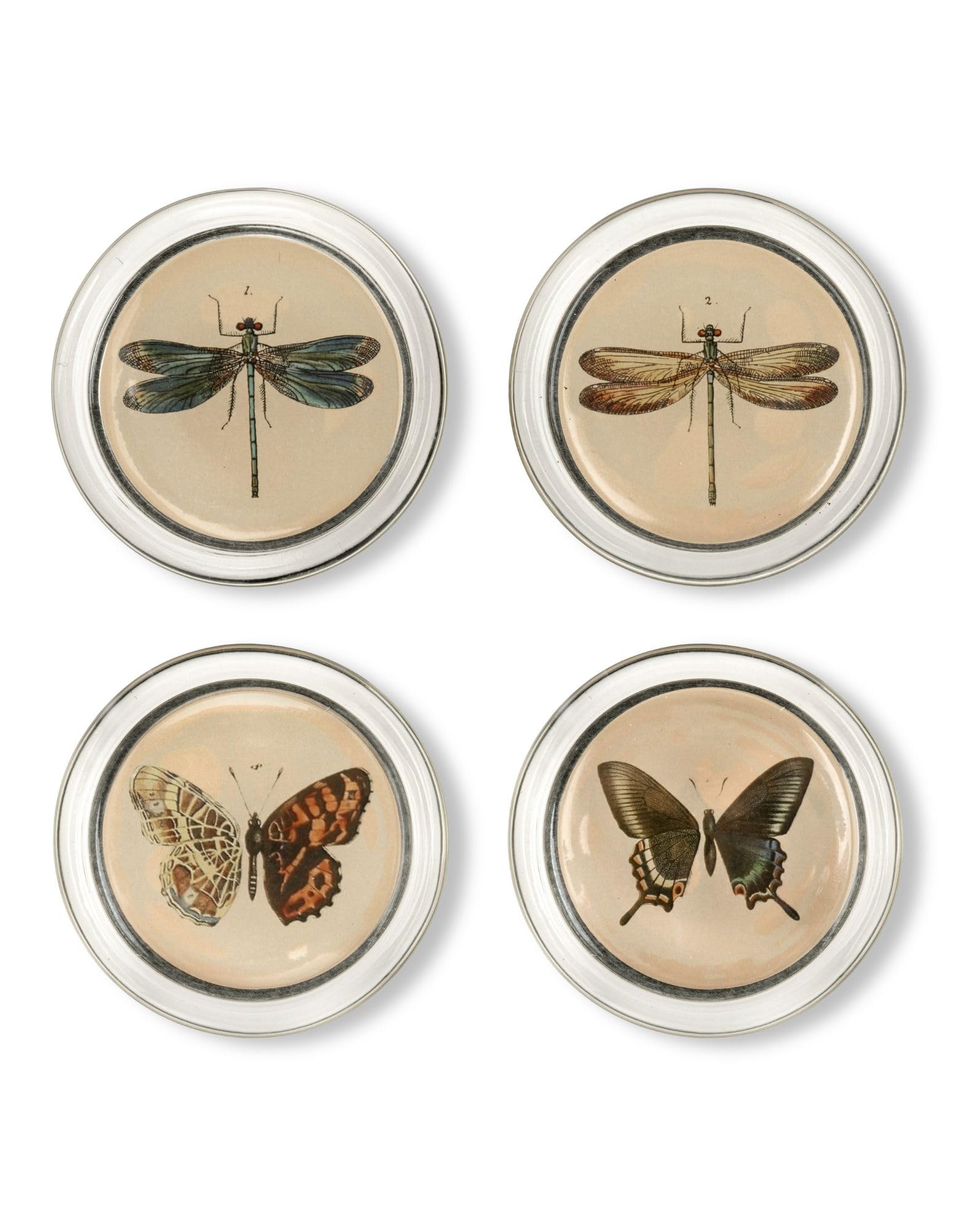 Curator Home Glass Drink Coasters | Set of 4 | Botanical Butterflies and Dragonflies with non-slip base and presentation box