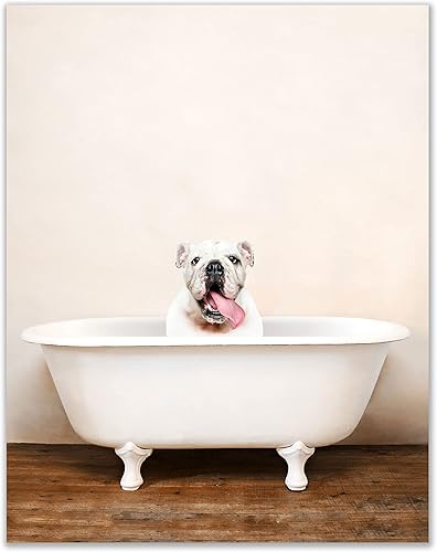 Póster artístico de bulldog inglés para baño, divertido y lindo y único, para bañera, perro, cachorro, individual (11 x 14 pulgadas), fotos sin