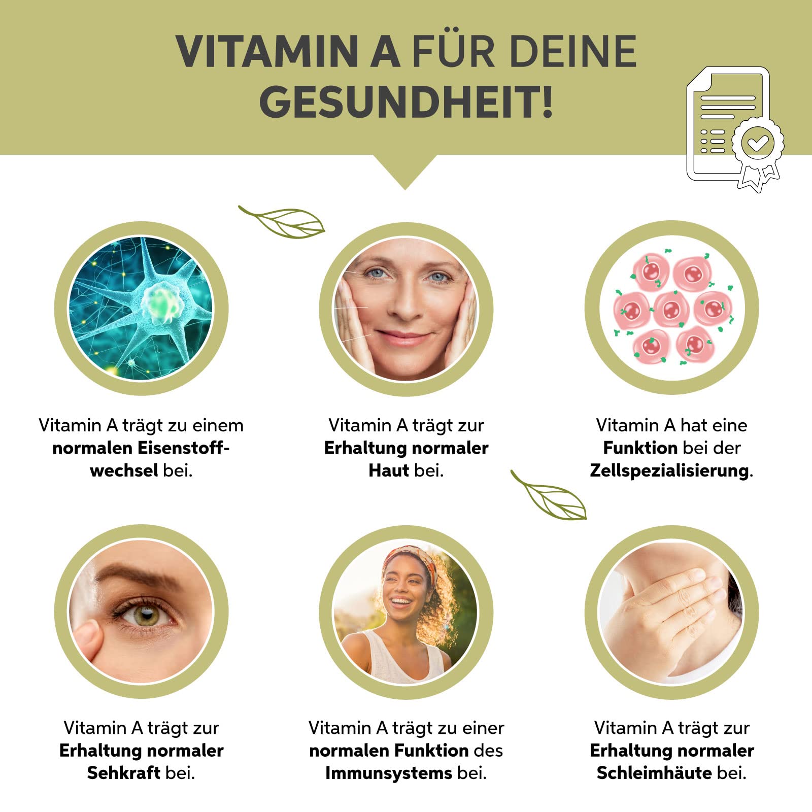 Bio Moringa Pulver 1kg | Moringa Oleifera Blattpulver in Premium Rohkost Qualität | 100% rein ohne Zusätze Vegan | (DE-ÖKO-007) aus Indien