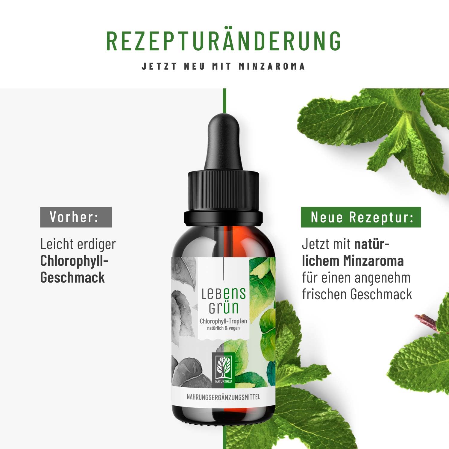 Lebensgrün Chlorophyll flüssig aus Alfalfa - 50ml - 200mg liquid Chlorophyll je Tagesdosis - Tropfen als Alternative zu Tabletten, Vegan