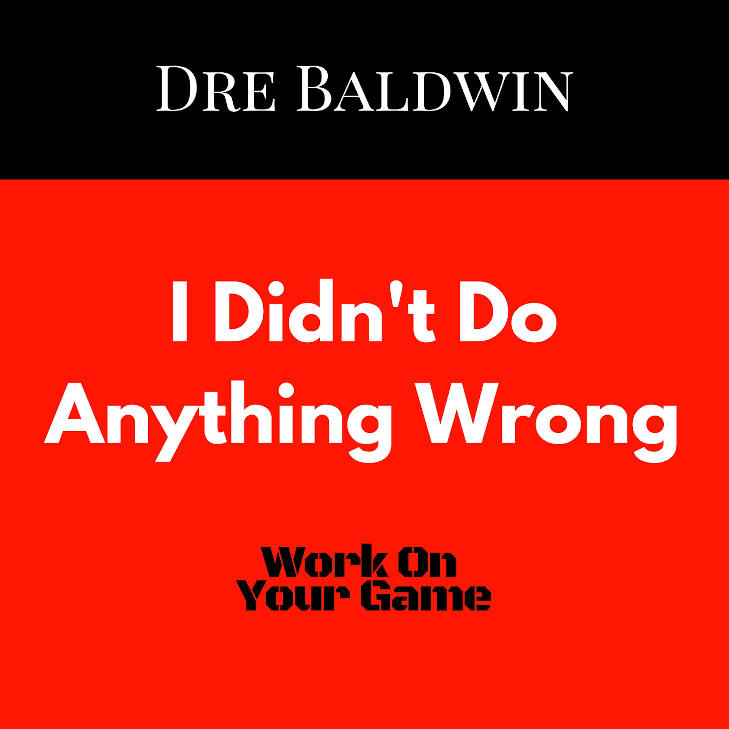 Cover art for "I Didn't Do Anything Wrong!"