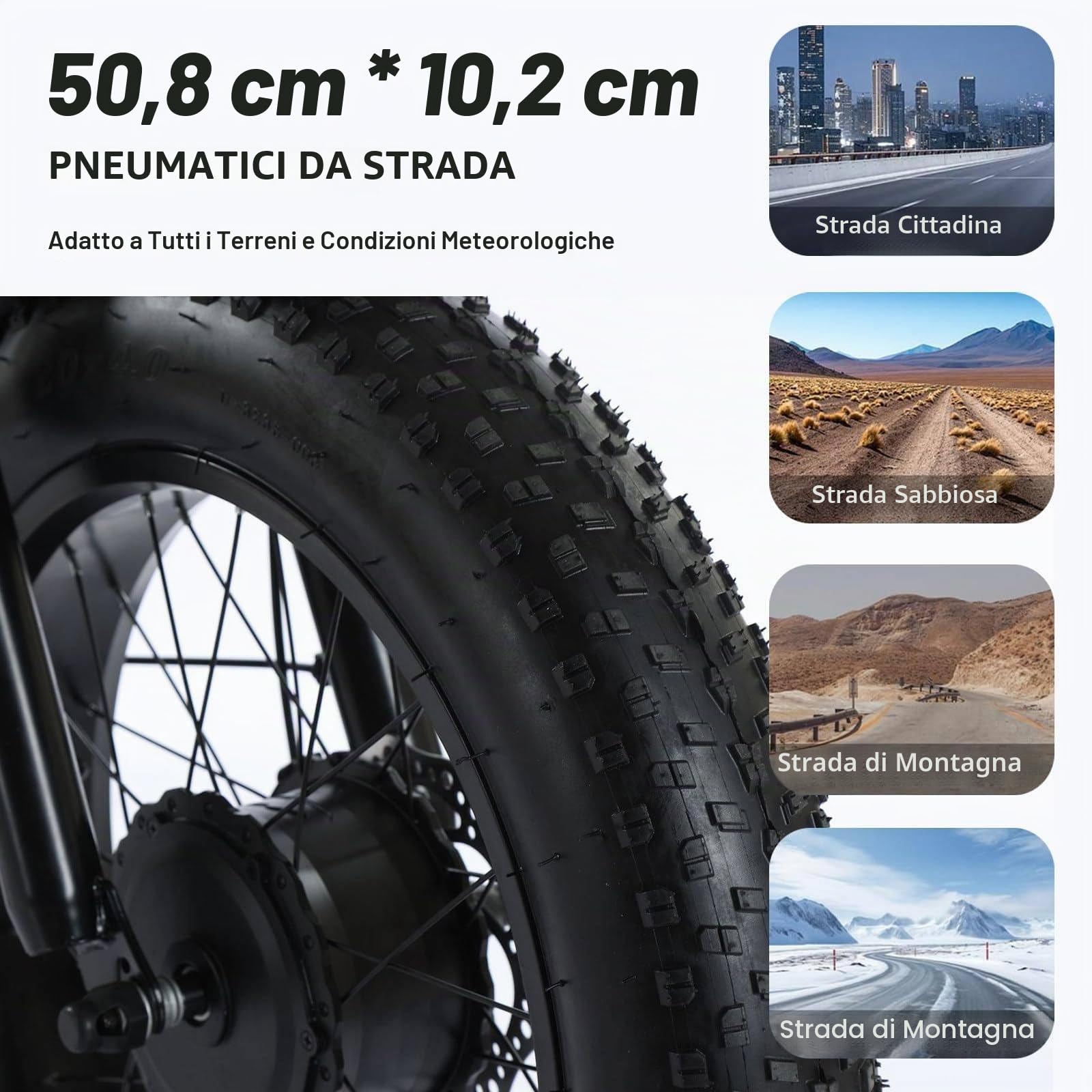Triciclo Elettrico per Adulti,con Pneumatici Fat Tire Off-Road da 20" x 4.0,Cestino per la Spesa e Sedile Posteriore,Batteria Rimovibile da 48V/12Ah,Portata 200 kg,Ideale per Spesa,Picnic e Spiaggia