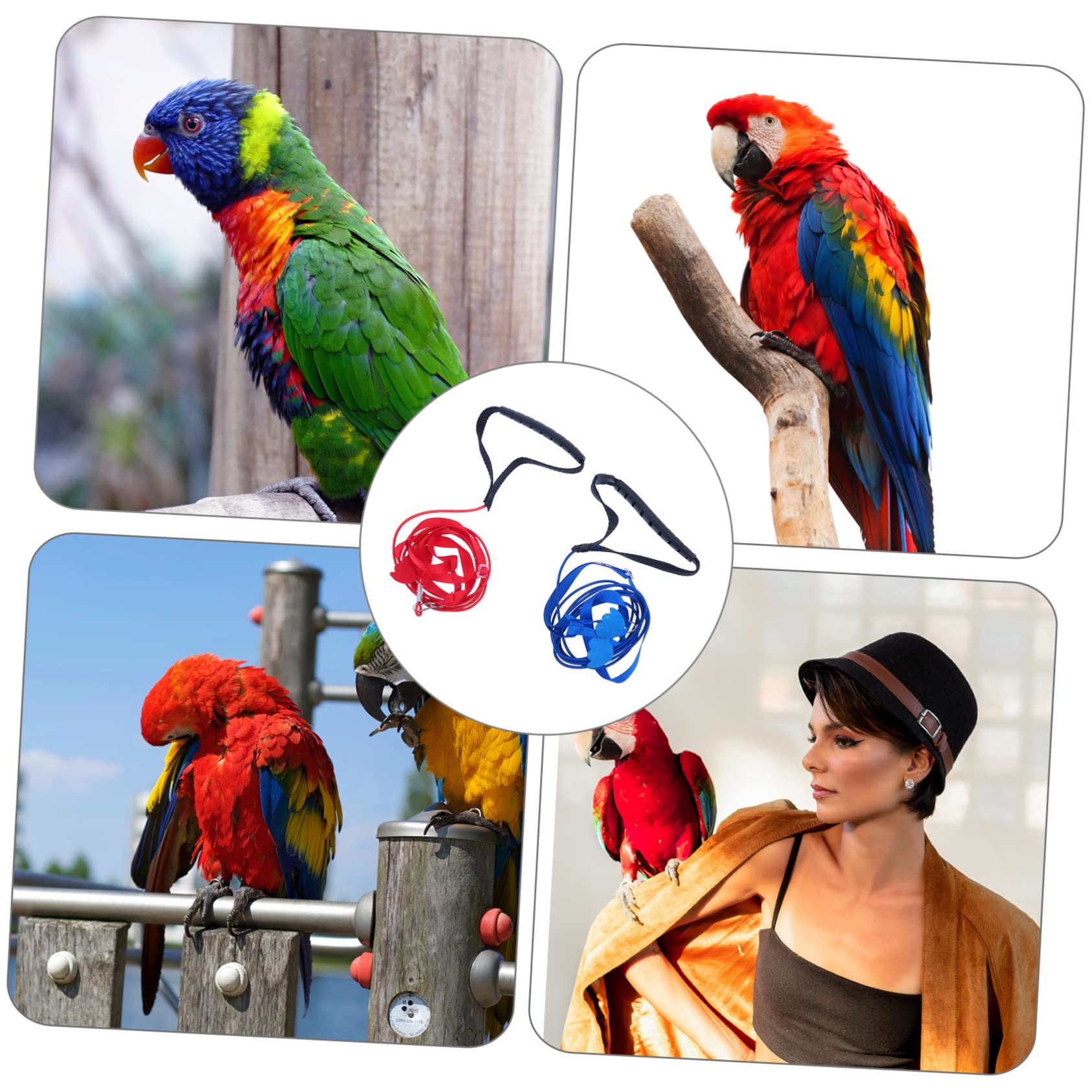 POPETPOP 2Pcs Adjustable Parrot Bird Harness with Leash Flying Training Rope Red Blue for Outdoor Fun and Flight Experience for Pet Birds