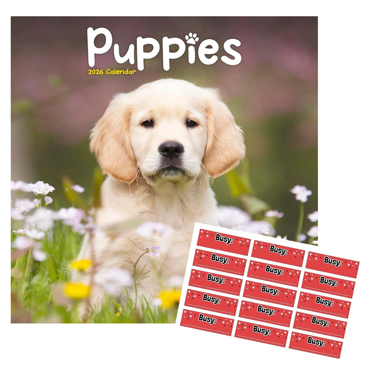 Avonside Puppies 2027 Calendar with Organisational Stickers, 16 Month Square Wall Calendar (Sept 2026 - Dec 2027), UK Planner with Mixed Puppies, For Dog Lovers, Home or Office, 11.6 x 11.6 in