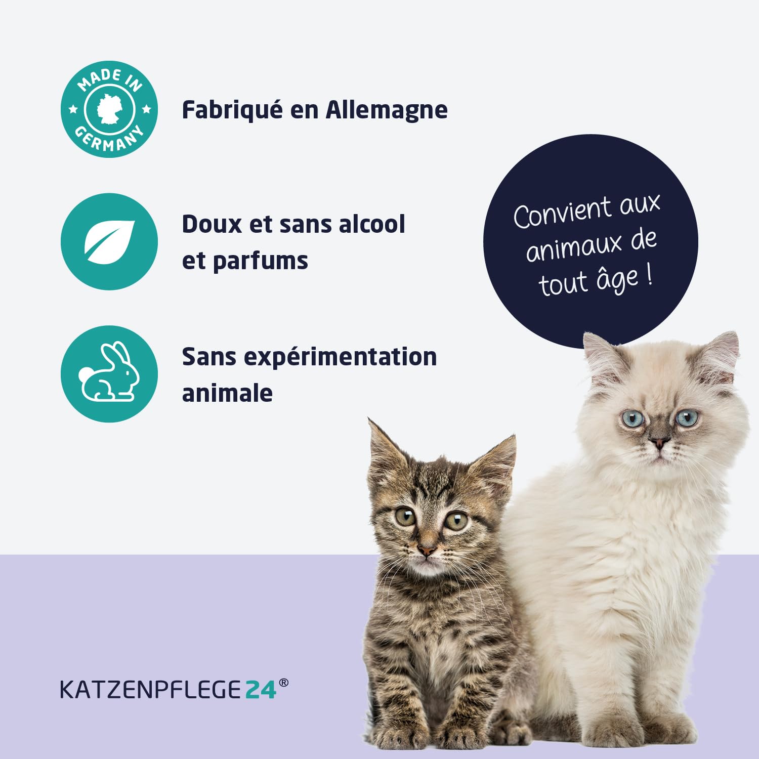 Spray antiseptique et cicatrisant octénidine chat - Désinfecte, apaise, soigne & protège tout type de plaies sans piquer la peau - 125 ml avec des substances actives éprouvé