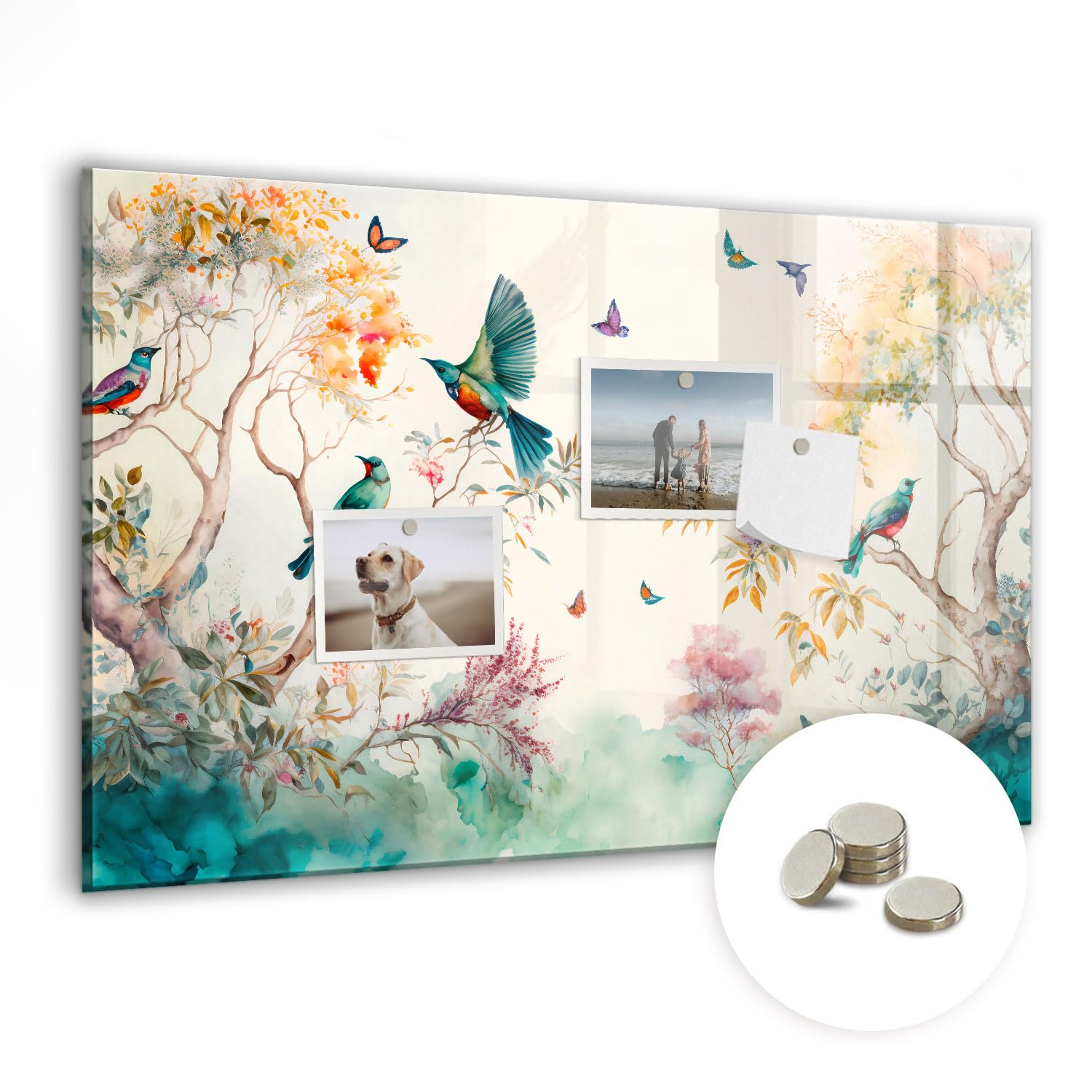 Lavagna magnetica professionale in vetro | Con 5 magneti al neodimio | Lavagna cancellabile resistente per ufficio e casa - 60x40cm - Fiori uccelli natura