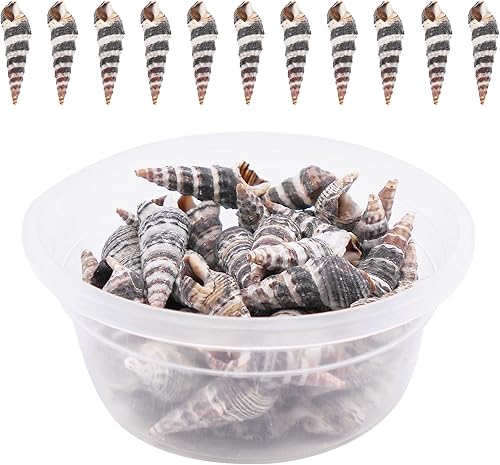 Julie Wang Cerca de 140 piezas de 3.16 oz (90 g) de conchas naturales de playa en espiral para manualidades, mini caracola, concha de mar para hacer