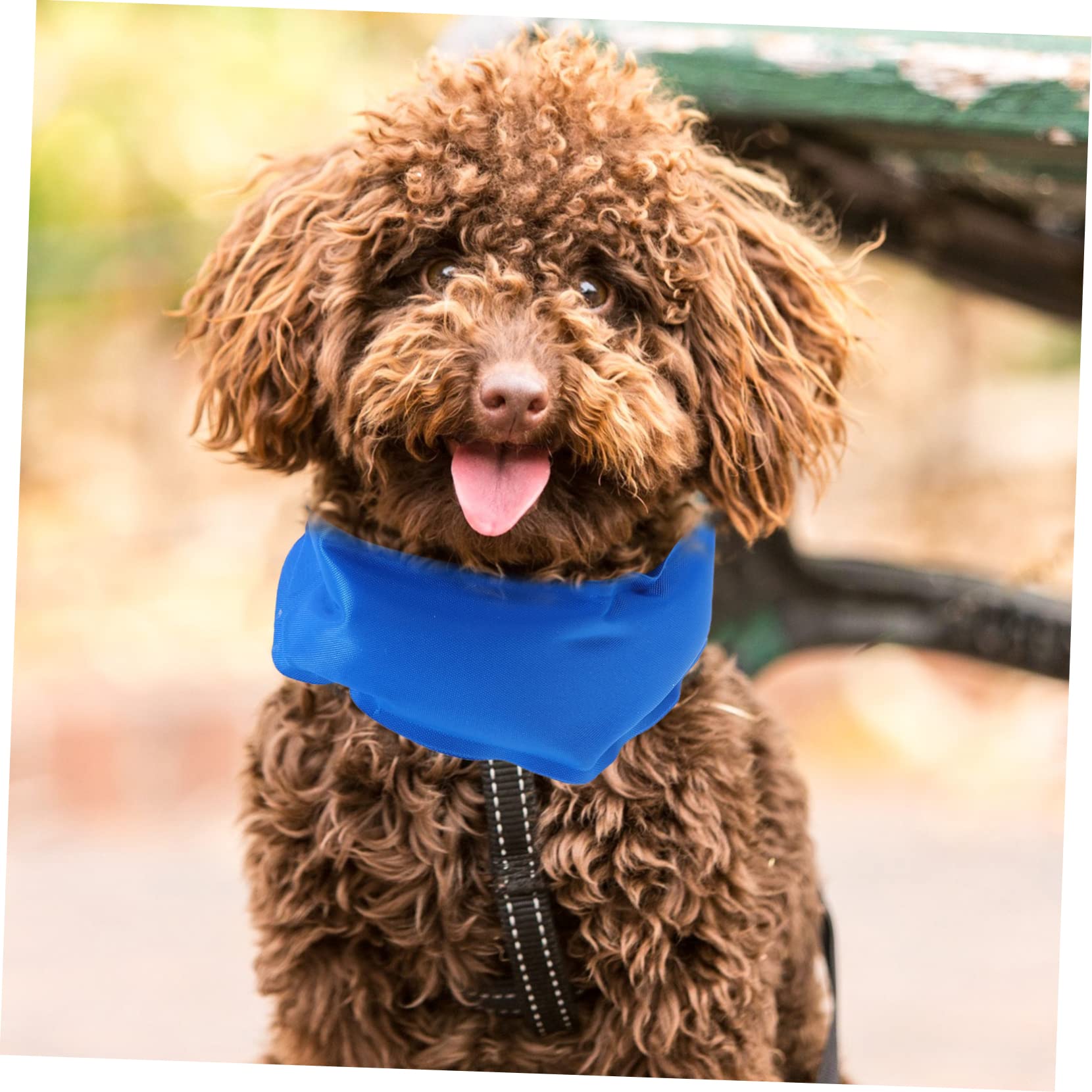 POPETPOP 6stücke Kühlhalsband Für Hunde Sommer-Bandana Mit Selbstkühlendem Material Für Angenehme Frische An Heißen Für Kleine Und Mittelgroße Haustiere