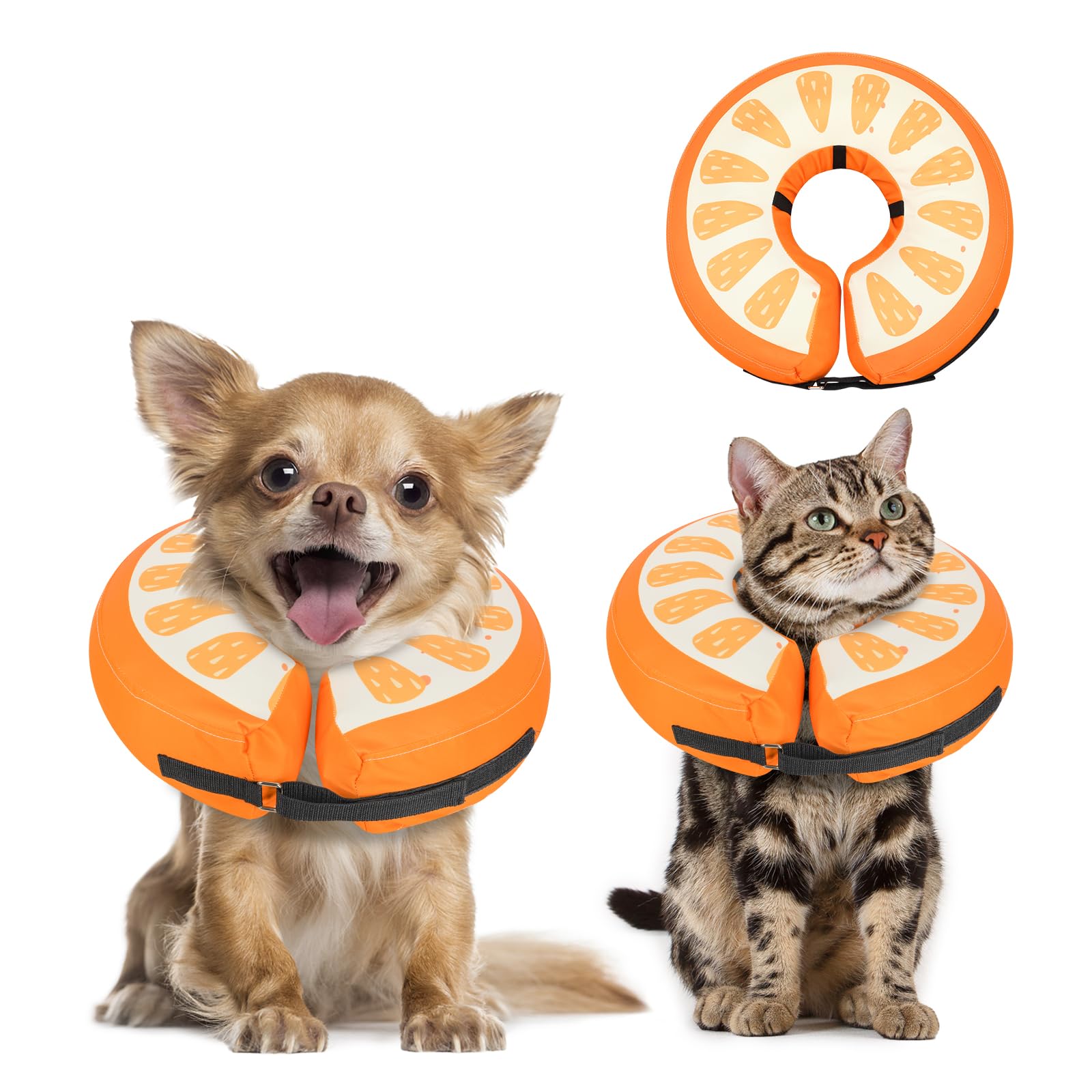 Alternative au collier électrique en forme de beignet souple pour chien MIDOG