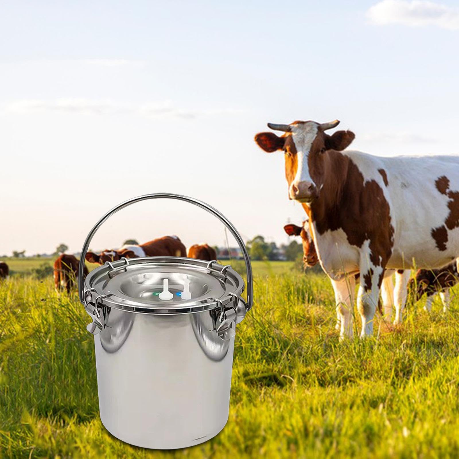 Secchio per Mungitura in Acciaio Inox di Grande capacità per E Ovini, 5 Litri