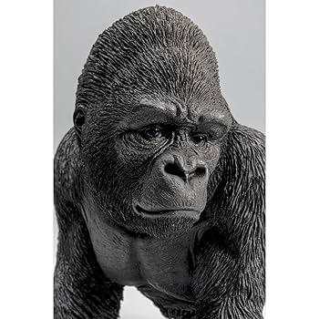 Gorilla Bookend Set U2013 Robertson's Farmgate