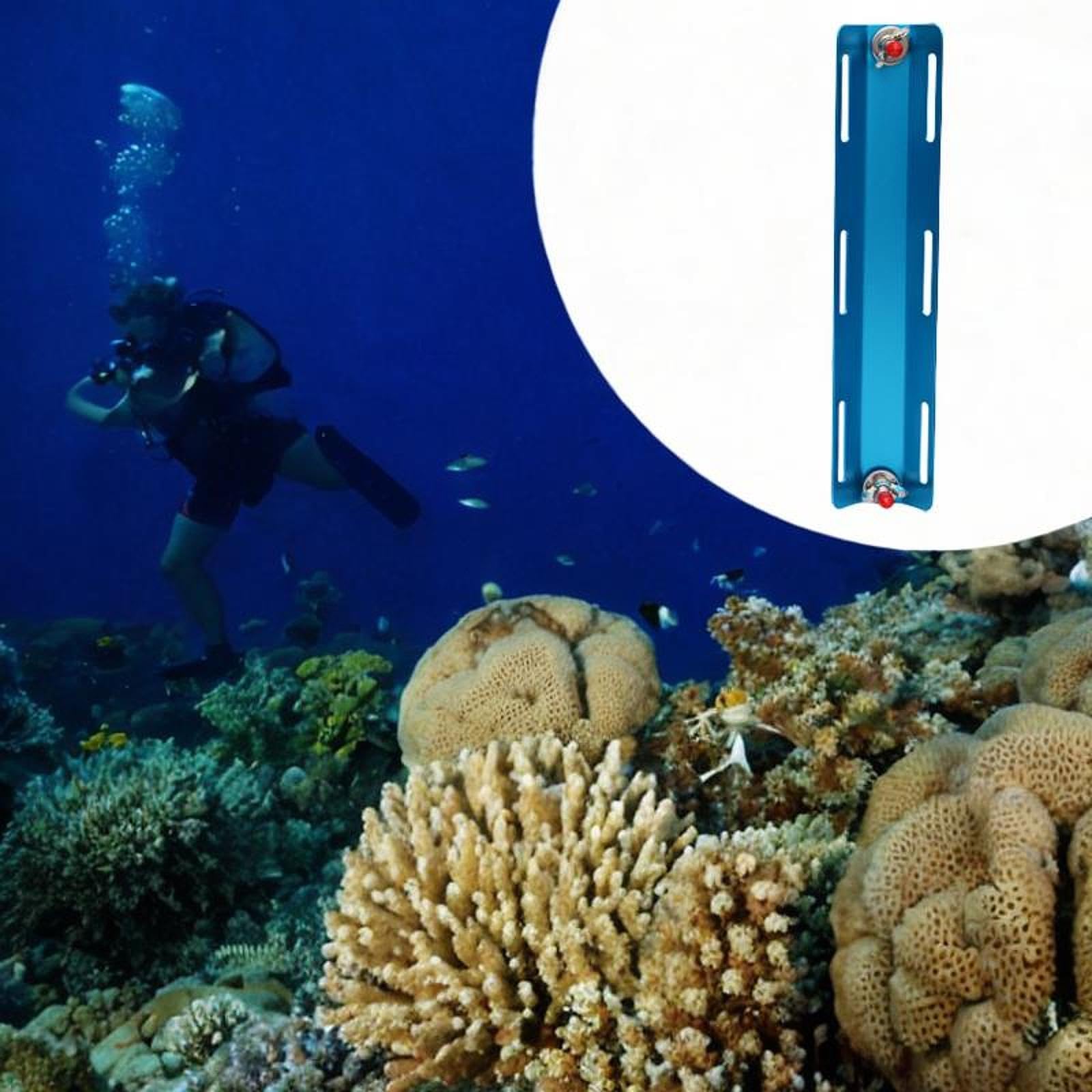 Vaveren Scuba Diving Back Frame with Screw Parts,Enhanced Efficiency Aluminum Single for Tank Adapter Matt for Water Sports,Swimming, Blue