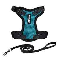 Best Pet Supplies Voyager Step-In, Set di pettorina regolabile per gatti con guinzaglio