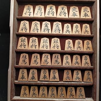 ⭐希少⭐【初代竹風作】御蔵島黄楊・特上彫（昇龍書） 将棋駒 71ONj4g21aL._UF350,350_QL50_.jpg