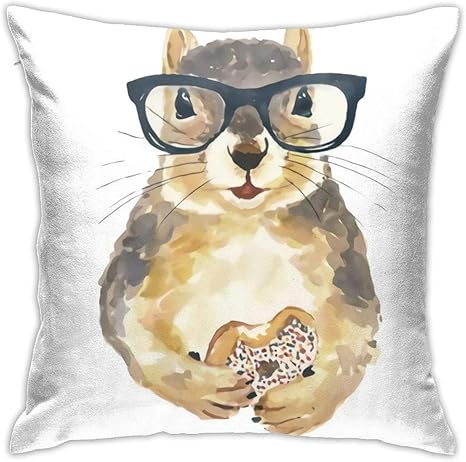 pillow for glasses amazon
