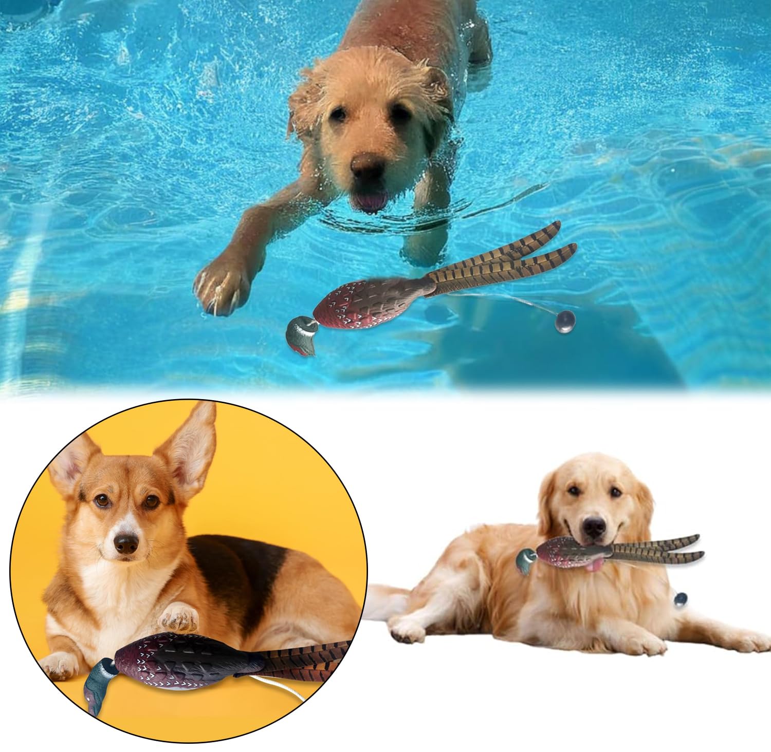 Dummy Jouet d'entraînement pour Chien Jouet pour Chien Canard de Dressage pour Chien Jouet Colvert Canard de Chasse pour Chiots imitant Canard Dummy Tétine d'entraînement pour Chien