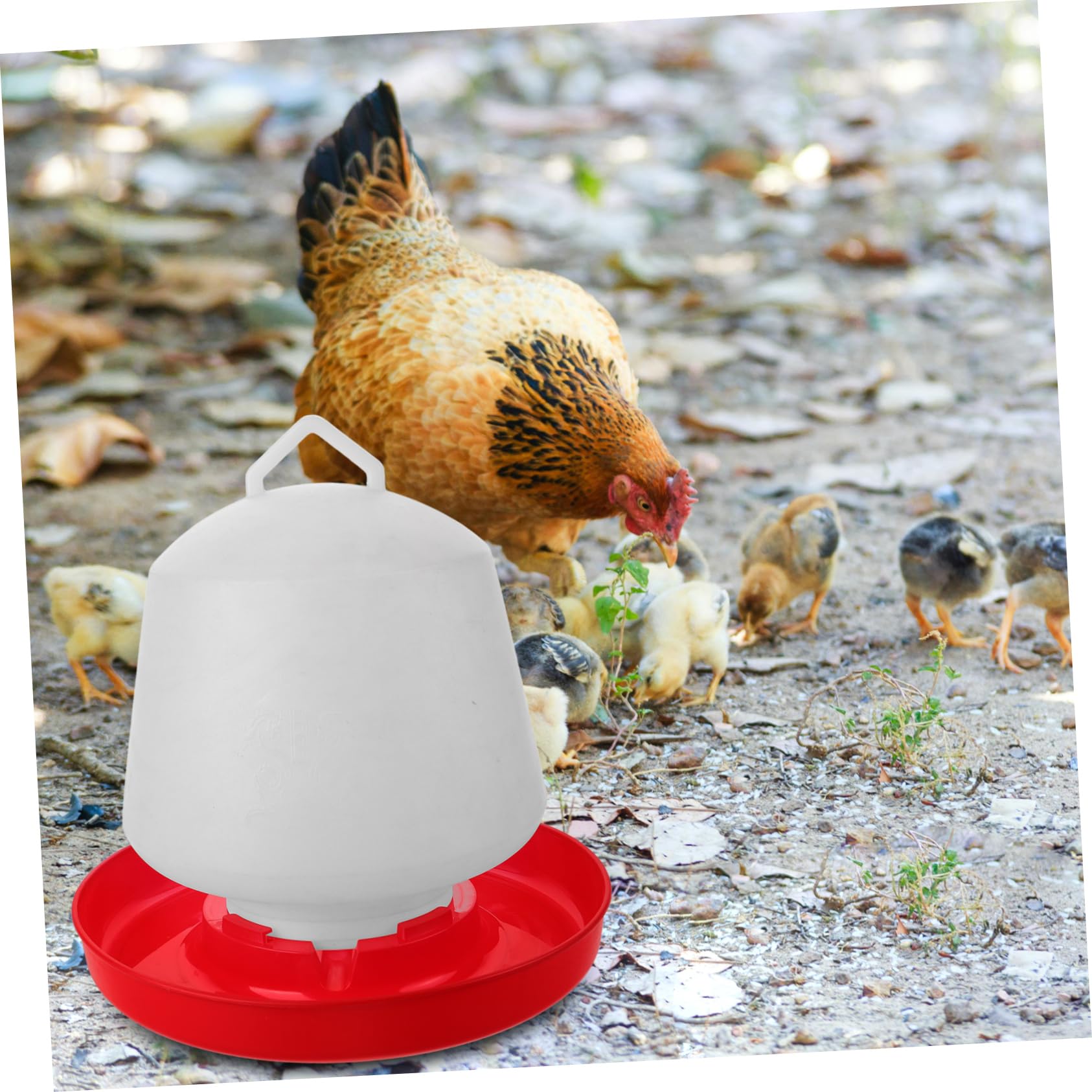 ifundom Mangiatoia per Pollame in Plastica Bianca Resistente alla Pressione Design Creativo Adatta per Uso Esterno e Allevamento di Galline e Oche