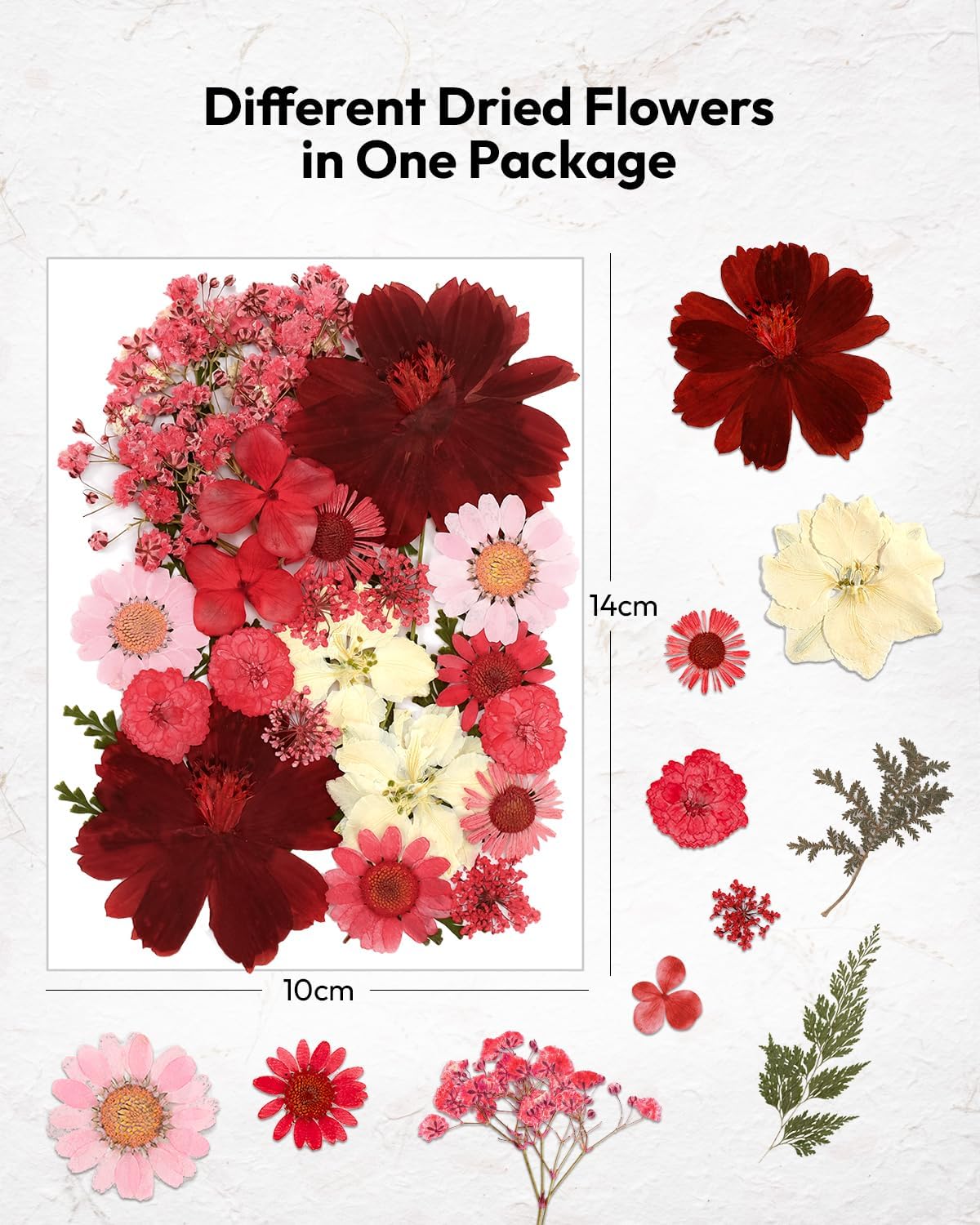 Dried Flowers, Resiners 100Pcs Pressed Flowers for Resin Soap Candle Scrapbook Supplies Card - Image 4