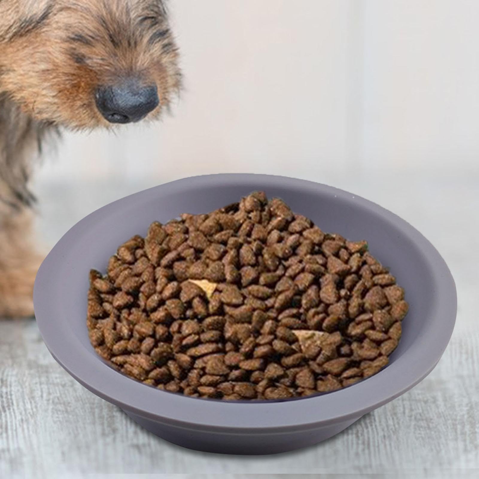 Mangiatoia per cani, per gatti con alimentazione lenta | Simpatico