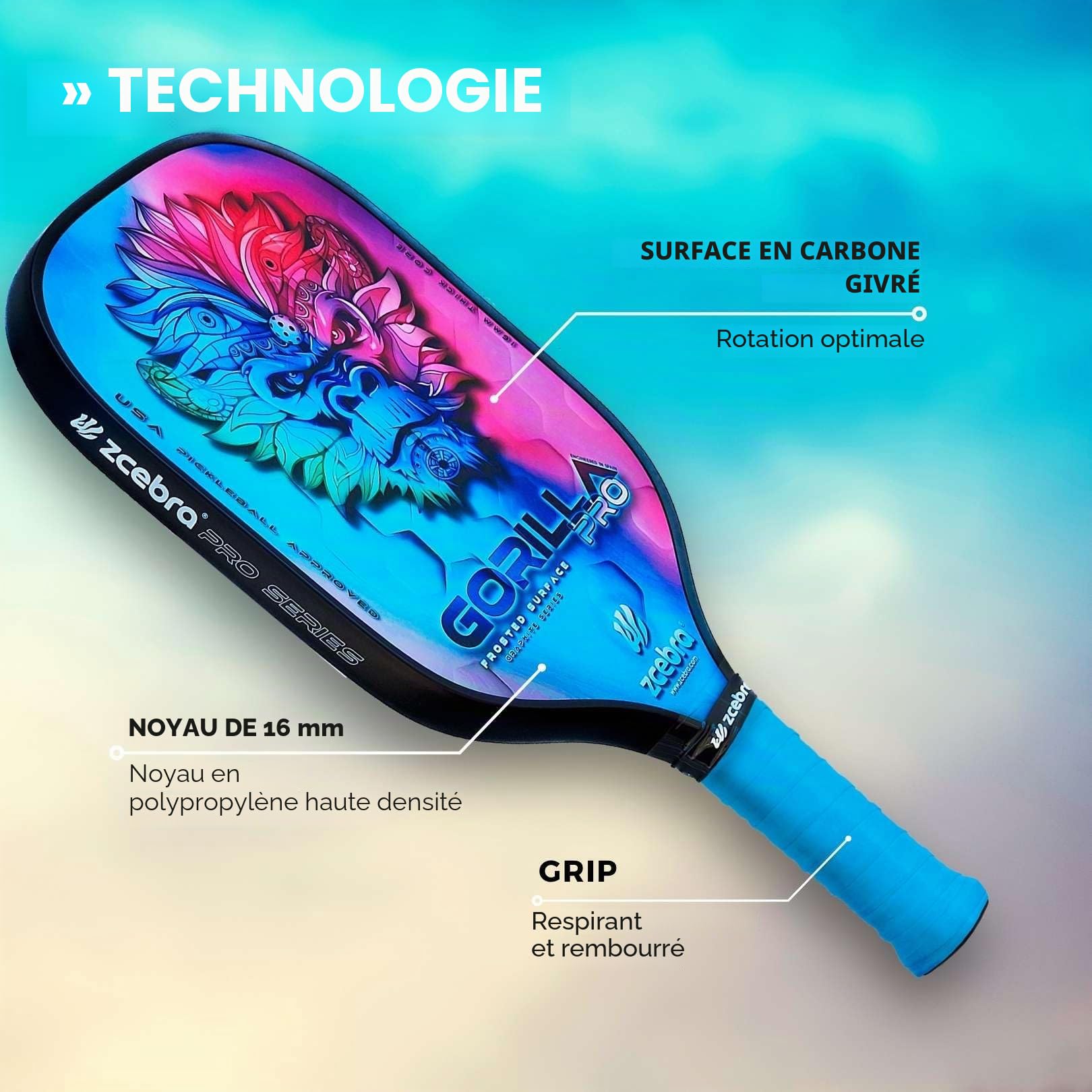 Pickleball Paddle Graphite - Raquette en Fibre de Carbone Noyau de 16 mm de Panneau d'abeille polypropylène Texture Frosted Rugosa - Set Housse néoprène - Gorilla Pro Rainbow