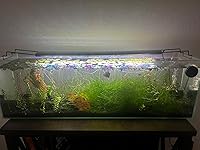 Review Image by Mohammed zaym Mohammed zaym