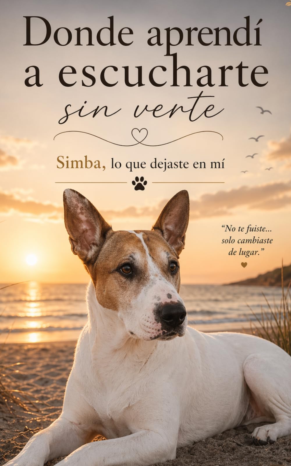 Donde aprendí a escucharte sin verte: Simba, lo que dejaste en mí