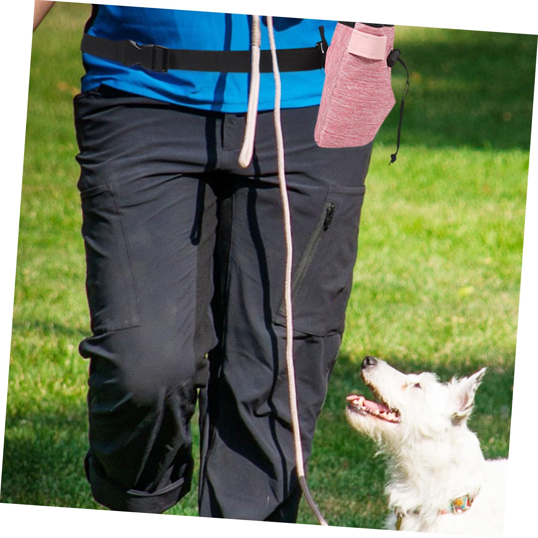INOOMP 5piezas Bolsa De Entrenamiento para Perros Capacidad De Snacks Bolsa y Portátil para Paseos y Adiestramiento De Mascotas Accesorios para Dueños De Mascotas