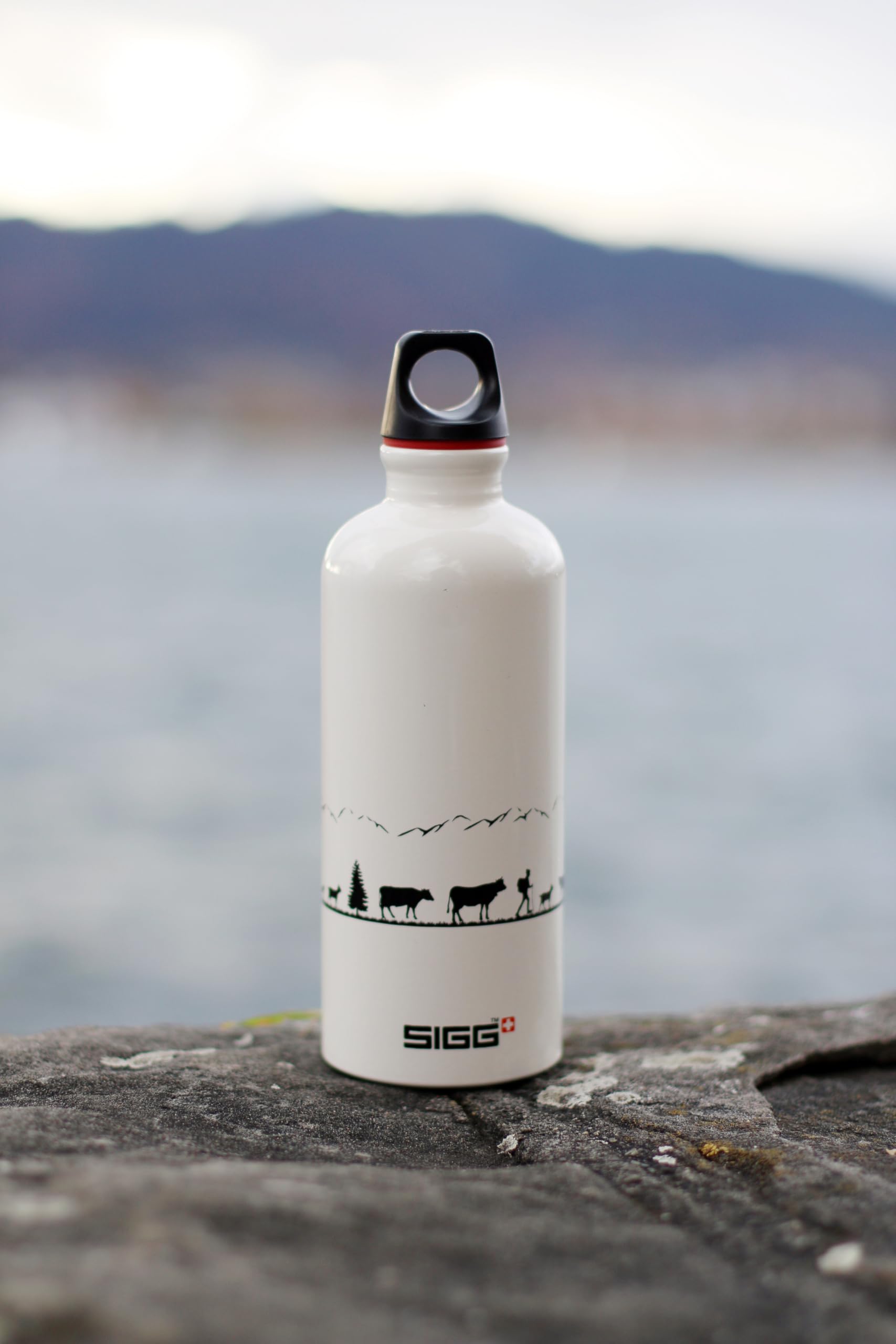 Amazon.com: Sigg - Recycled Metal Water Bottle - Traveller - Made