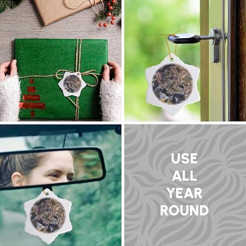 Miniatura 5 de 3dRose Estados Unidos, California, Anémonas en Point Lobos Natural Reserve Adorno de copo de nieve