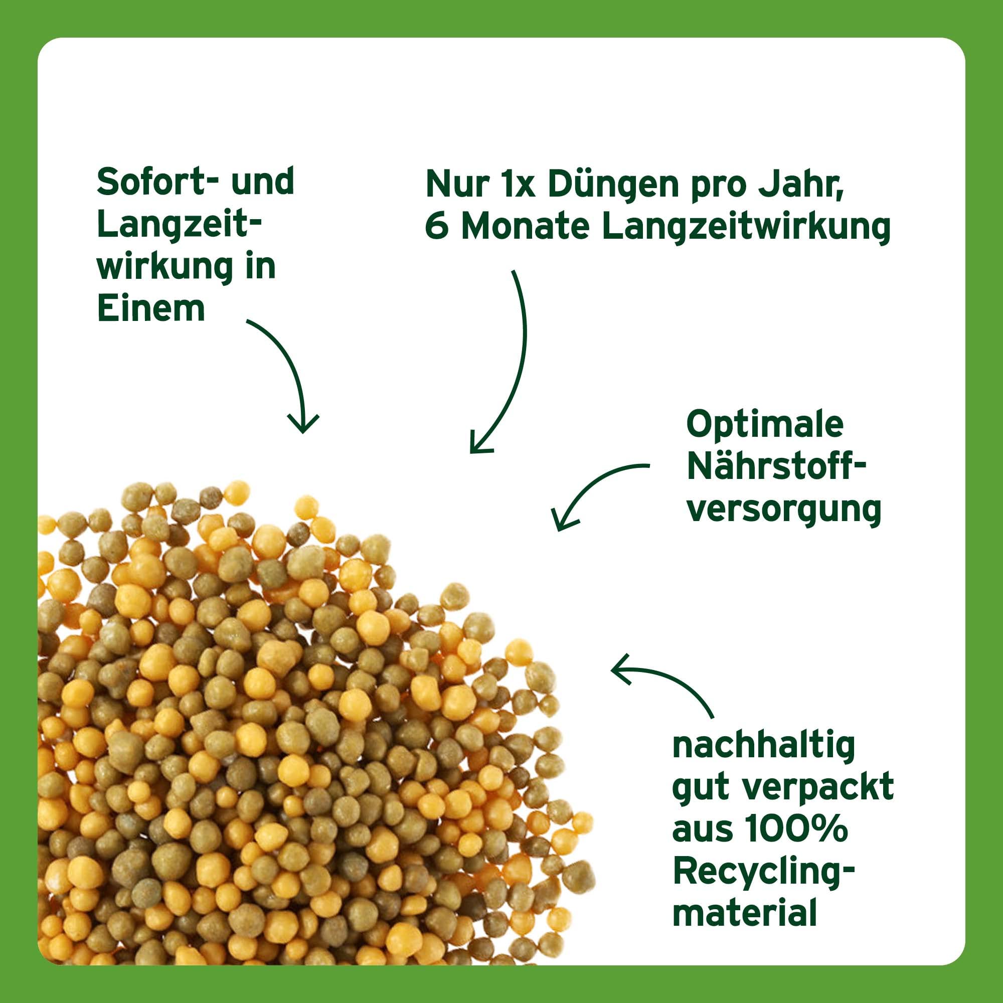 Substral Langzeit Depotdünger für Rosen & Blühpflanzen, 6 Monate Osmocote Premium-Langzeitdünger, 1,5 kg (Packung mit 2)
