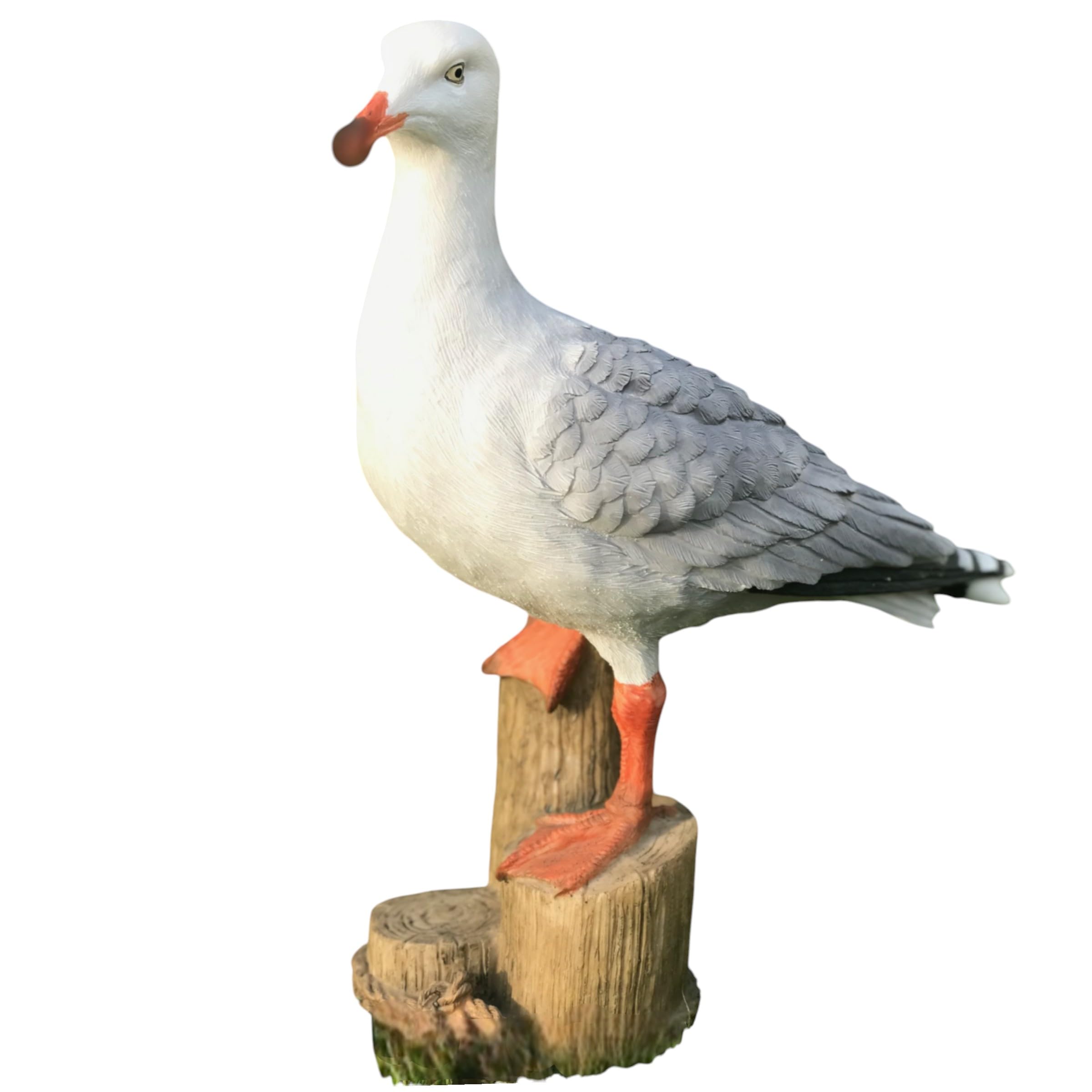 Animal Crackers Multicolor Large Seagull Indoor Outdoor Garden Ornament Nautical Decoration Bird Lover Gift. Height 32Cm.