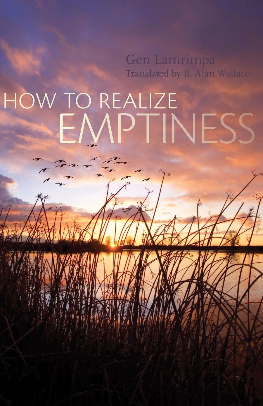 Buy How to Realize Emptiness — BookShops.in