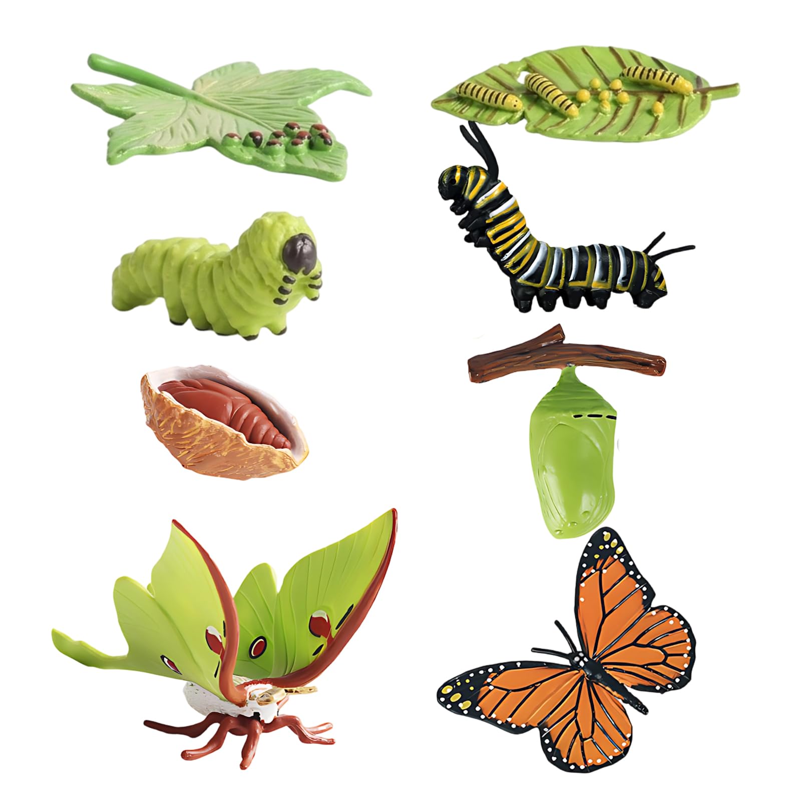 Butterfly Growing Kit, Comprehensive Life Cycle Set, Caterpillars and Butterflies, 8-Piece Educational Display, Biology Study Resources, Nature Observation Tools