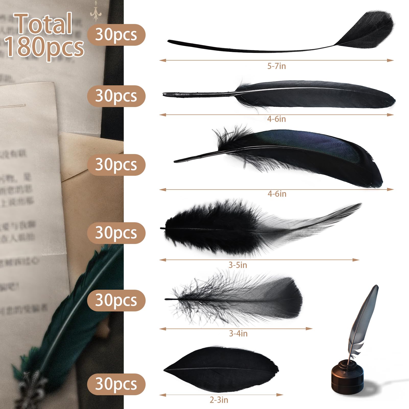 Black Craft Feathers Bulk - 180pcs 6 Style Mixed Natural Feathers for Wedding Home Party,Dream Catcher Supplies and DIY Crafts (Black)