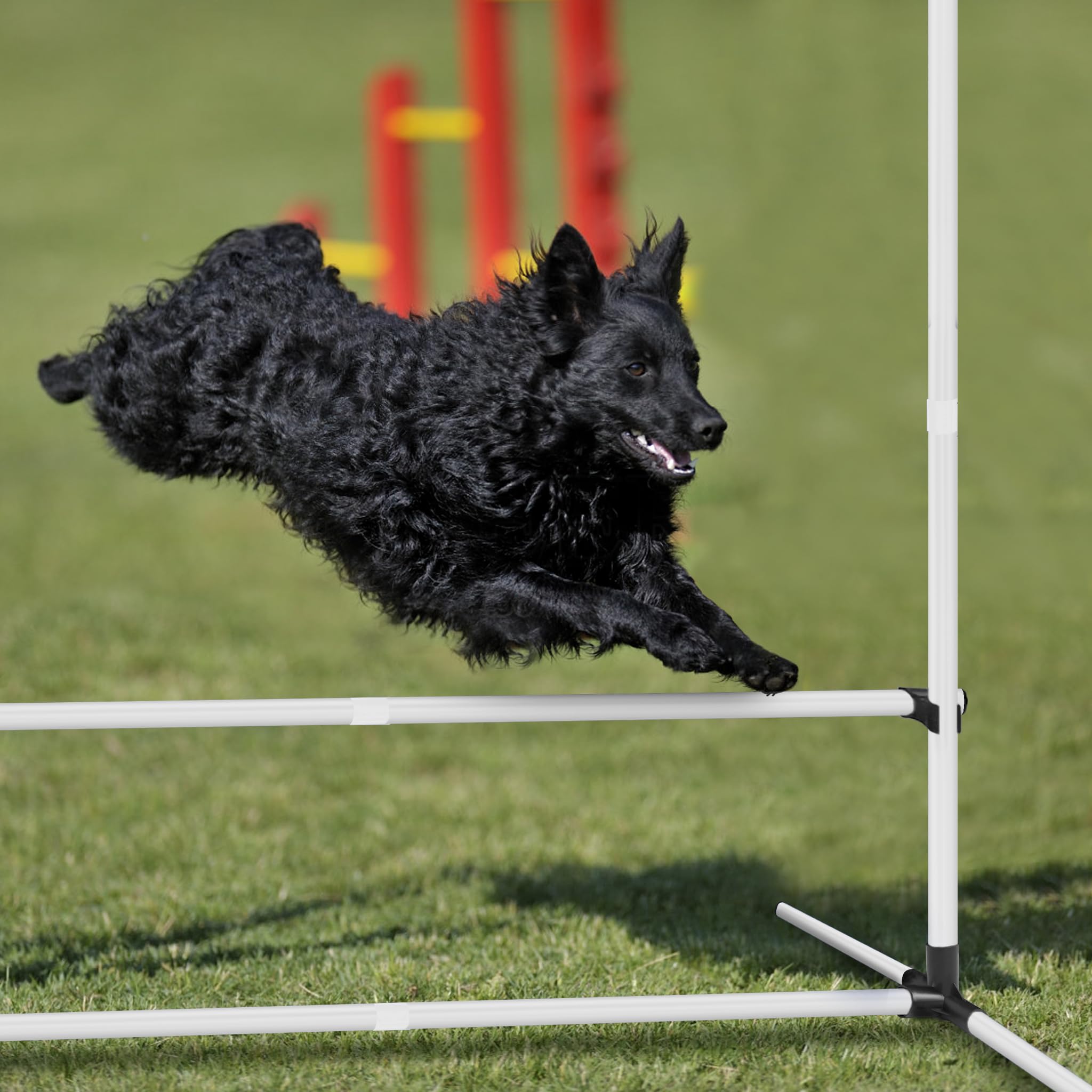 FIVMEN 4X Agility Set Hunde Slalomstangen Hund Training Set Höhenverstellbar Kunststoff Hürdenset Hobby Horse Hindernisse mit Transporttasche für Hundetraining Hundesport, Weiß