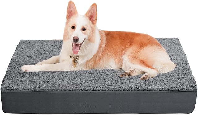 GYHAUSCOY Dog Beds Medium Washable Removable Cover Reversible Grey Memory Foam Crate Mattress Waterproof Liner Orthopedic Oxford Soft Fluffy Plush Calming Pillow Cushion Small Puppy Mat Bedding