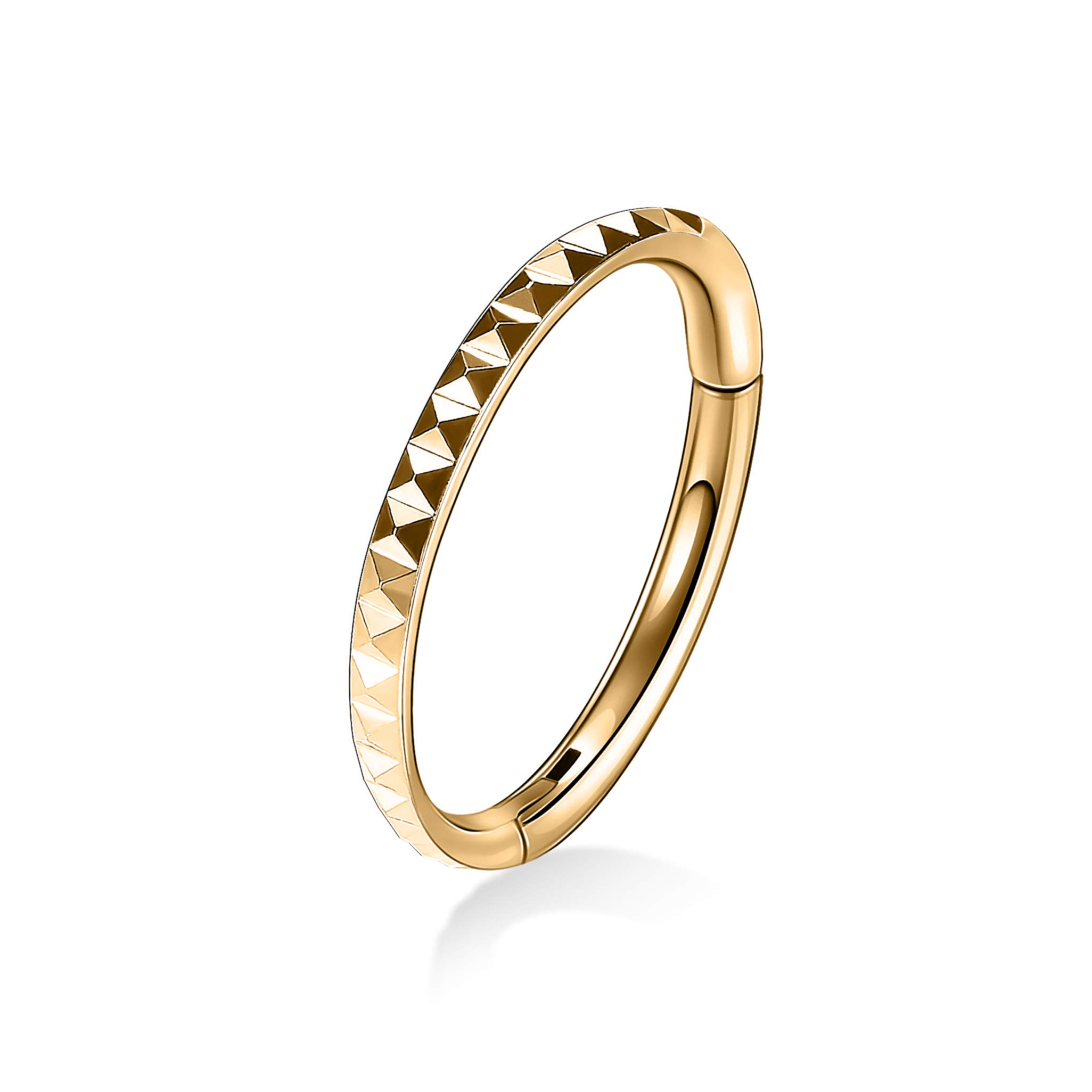 PEAKLINK 18G 16G 316L Surgical Steel Hinged Nose Rings Hoop Seamless Piercing Rings for Nose Conch Septum Cartilage Helix Tragus Rook Daith Lobe