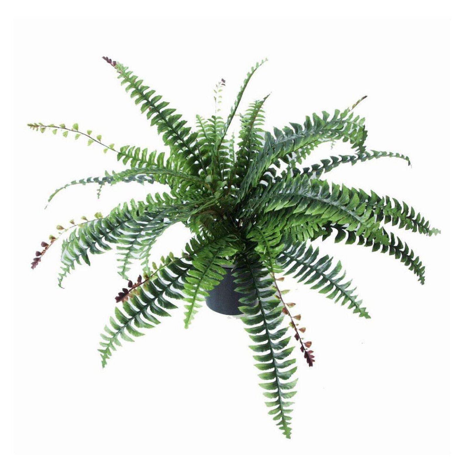 Leaf Artificial Foliage Plant Pot Boston Bushy 60Cm Plants from B&Q