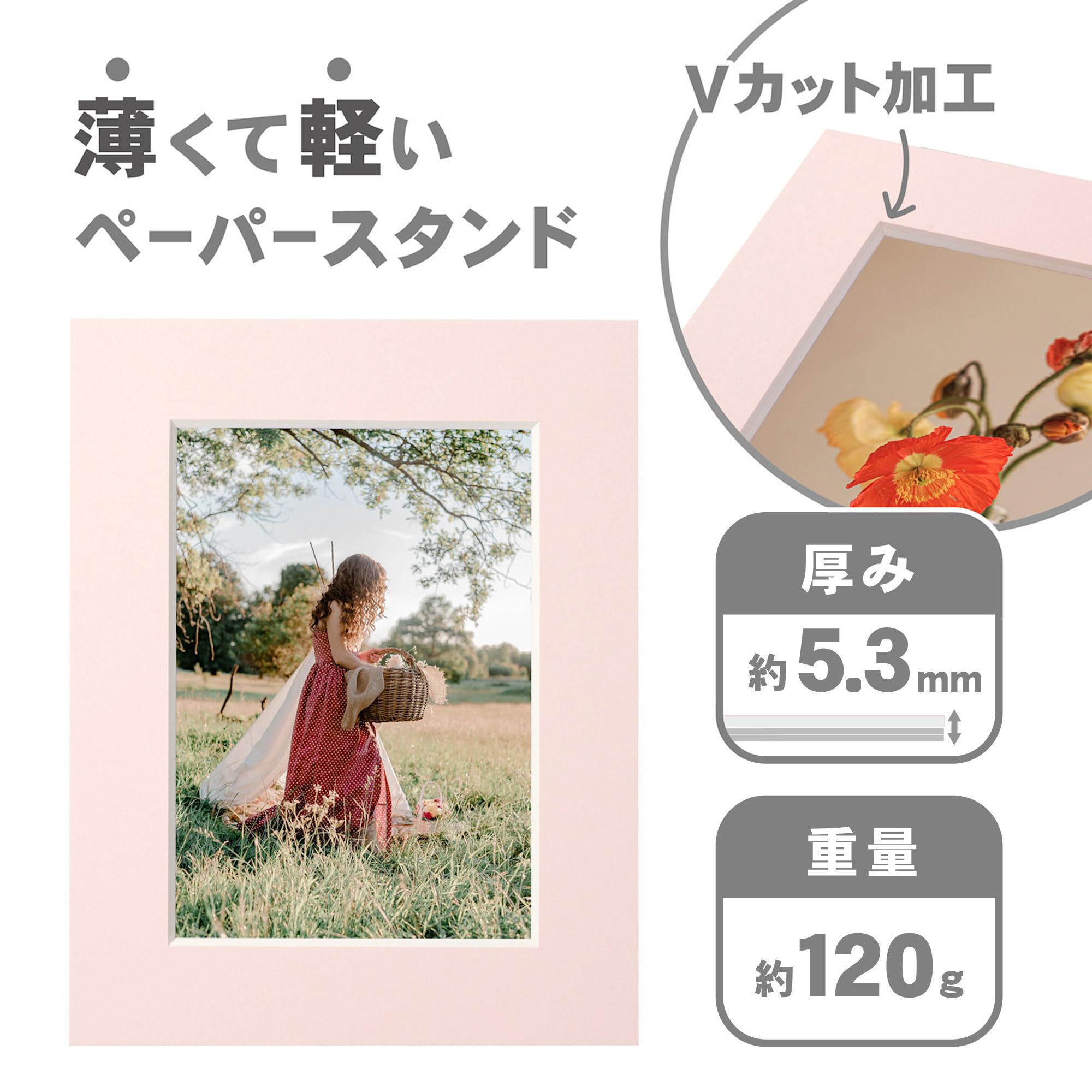 Amazon.co.jp: HAKUBA ペーパーフォトフレーム インサートカラー