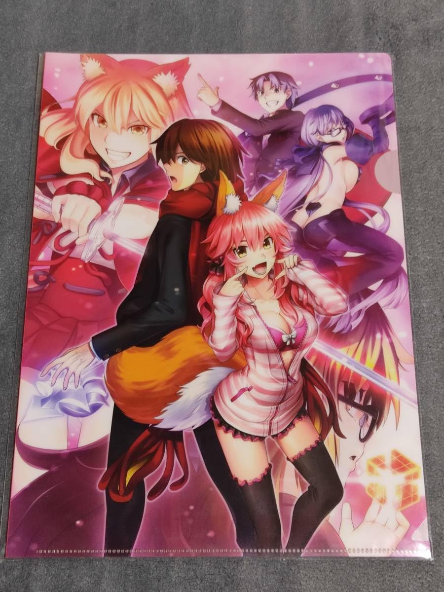 Amazon.co.jp: クリアファイル FGO Fate/Grand Order TYPE-MOON Fate