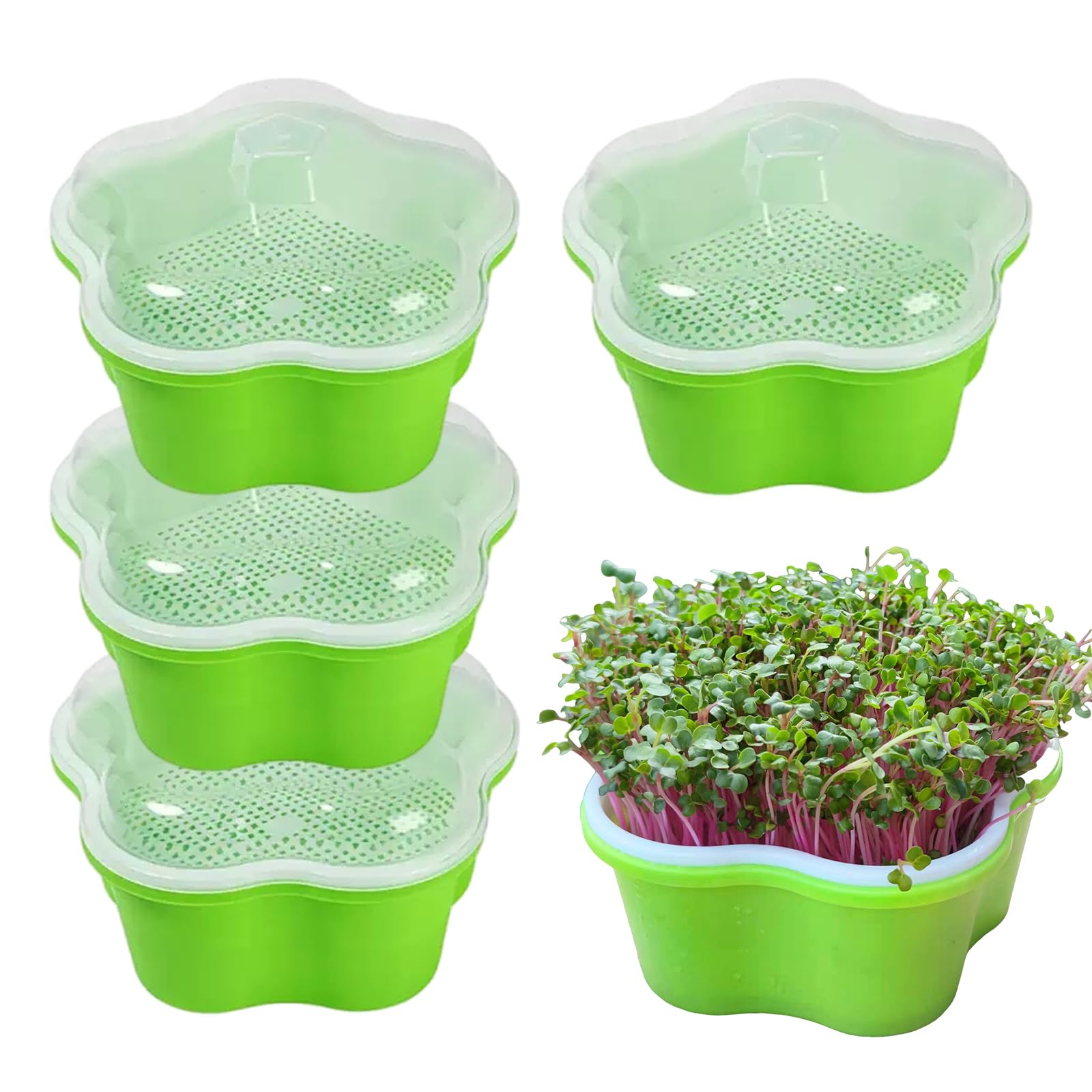 Wrbugukeji 5 Pcs Seed Sprouting Trays with Lid, Seed Sprouter Tray, Healthy Hydroponic Propagator, Seedling Starter Growing Trays for Germination and Growth in Greenhouse