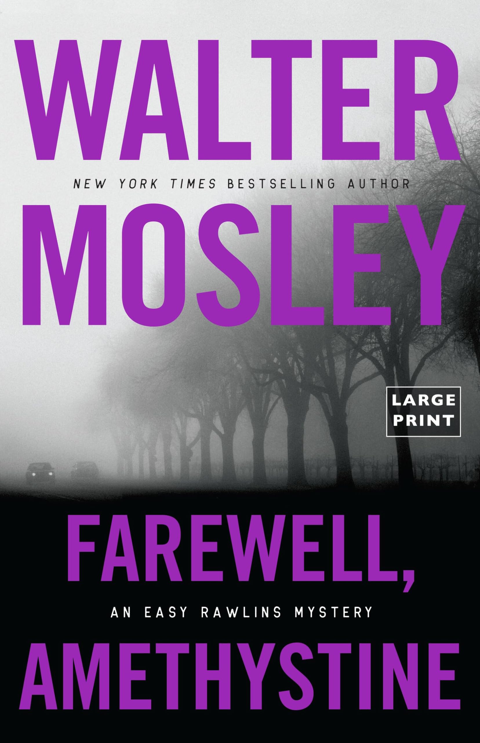 Buy Farewell, Amethystine (Easy Rawlins Mystery) — BookShops.in