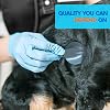 Good Harbor Estetoscopio Clínico IV Profesional de Un Solo Cabezal para Veterinaria | Para Técnicos Veterinarios y Estudiantes, Perros, Gatos, Caballos y Ganado, Pieza de Pecho de Aleación de Zinc, Anillo Antifrío, Placa de Nombre Incluida 7