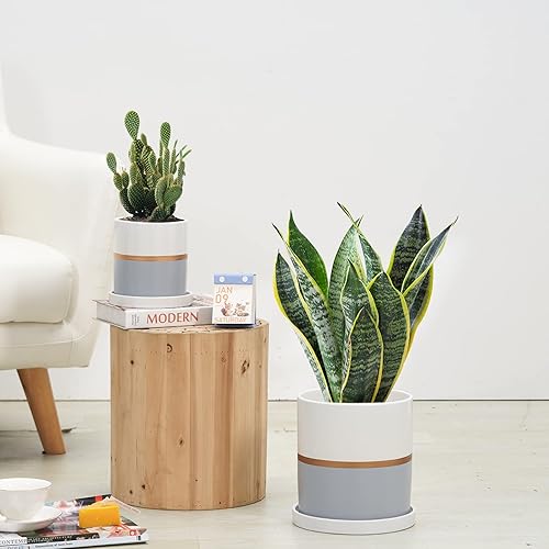 Miniatura 5 de Ekirlin Maceta de cerámica de 4 pulgadas para interiores, recipientes modernos para suculentas con platillo de orificio de drenaje, decorar el