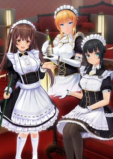 Amazon カスタムオーダーメイド3d2 スターターパック アダルトpcゲーム Pcソフト